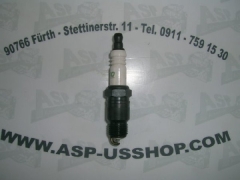 Zündkerzen - Spark Plugs  R42TS  GM V6 86-88